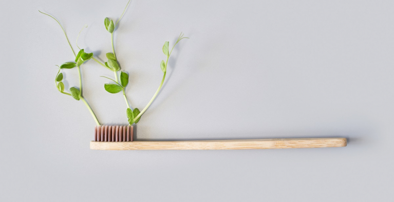 Duurzame tandenborstel waar een plant uit groeit